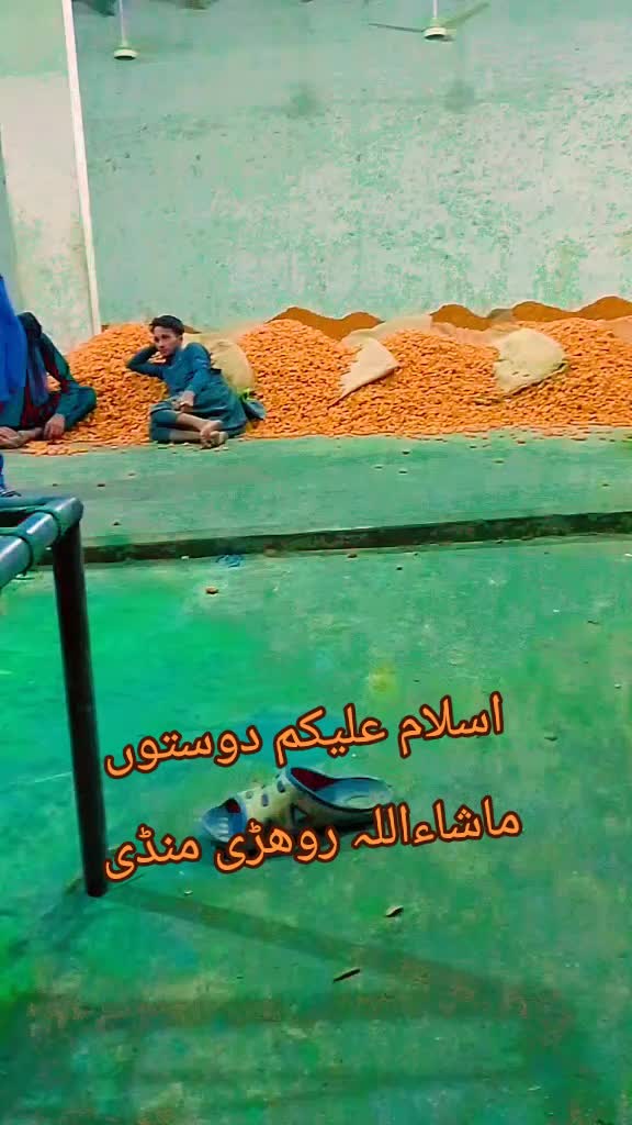 @🌹عبد القدیرمزا ری🌹 کوٹسبزل