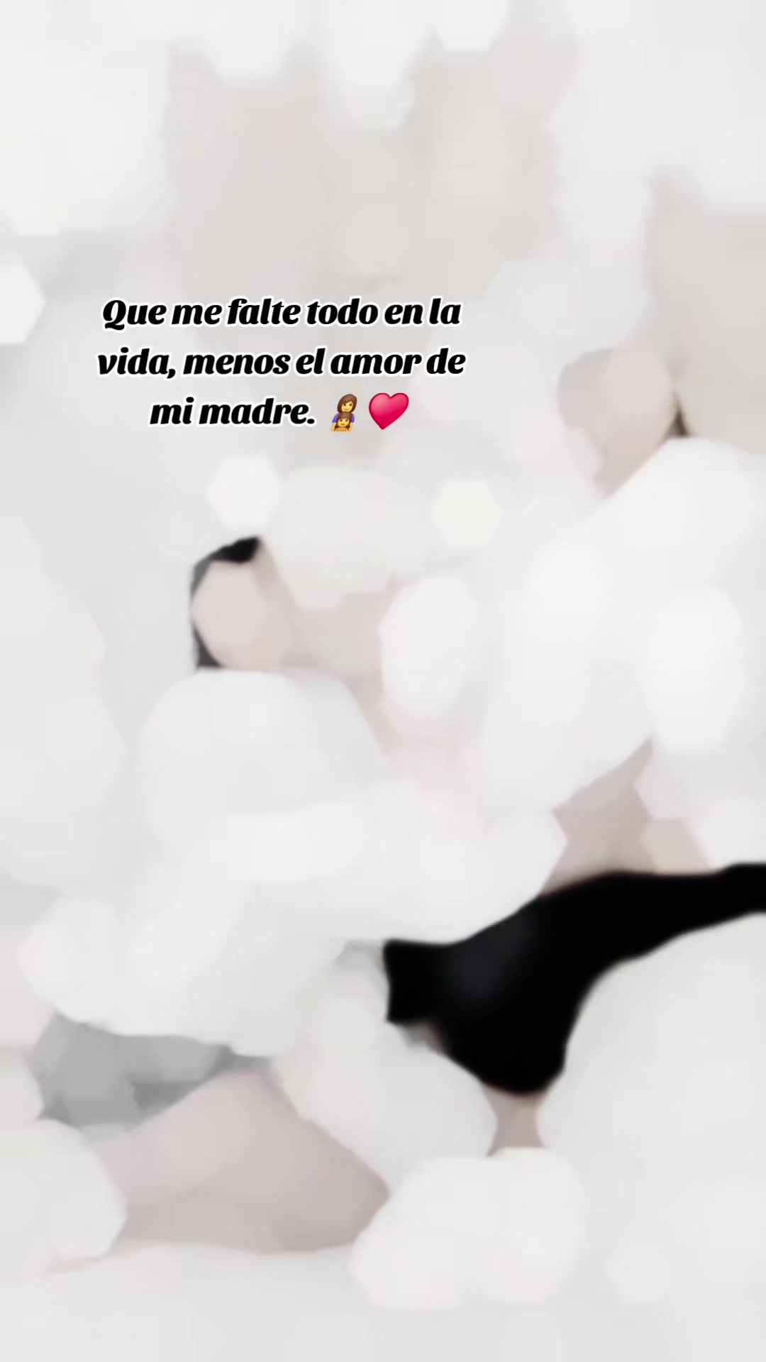 @Cone gonzales