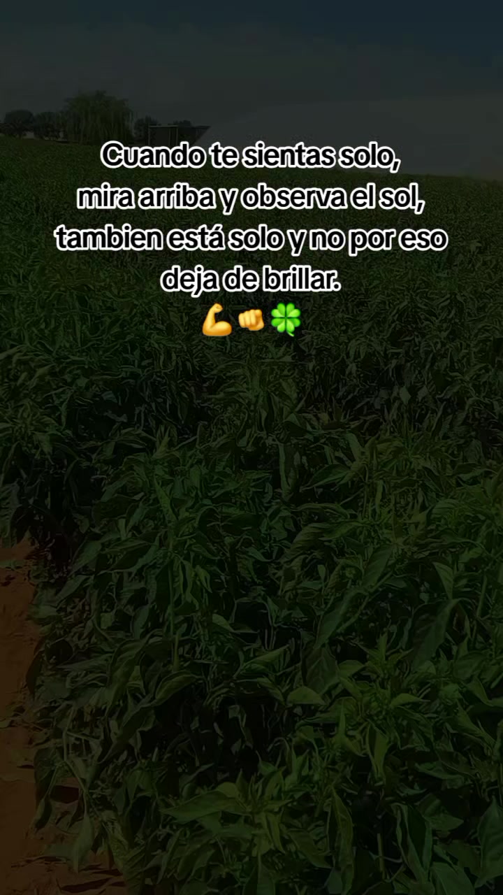 @Cirilo Santana ♓️♓️