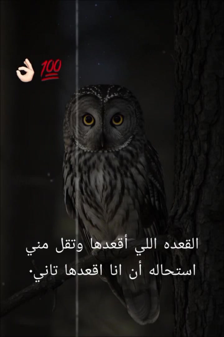 @๐๐๐๐๐
-๐๐๐คด๐ผ๐ฆ