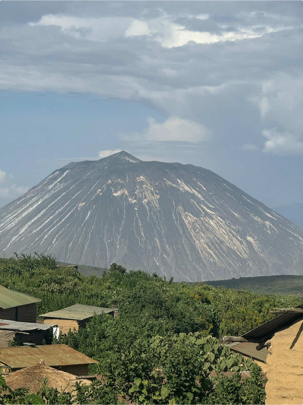 @Tanzania Safari Experience
