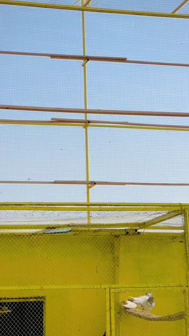 @𒆜𝑆𝑌𝐸𝐷 Uϻeℝ𒆜