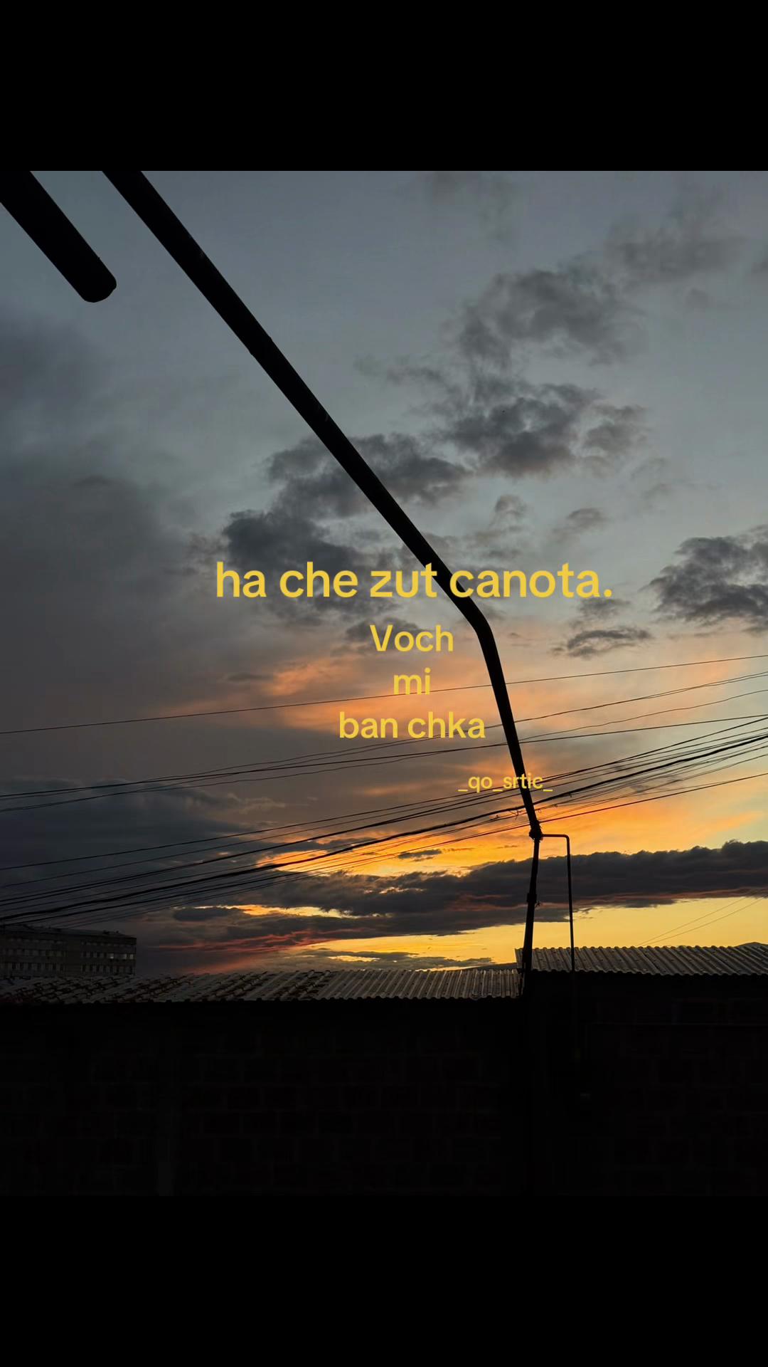 @_qo_srtic__