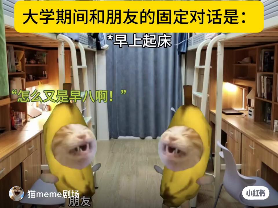 @國王king
