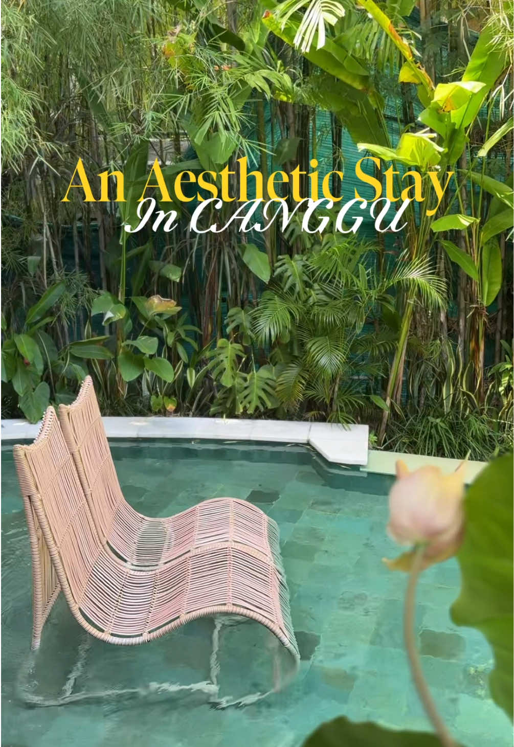 @aie.licious || chillCation 🏖️