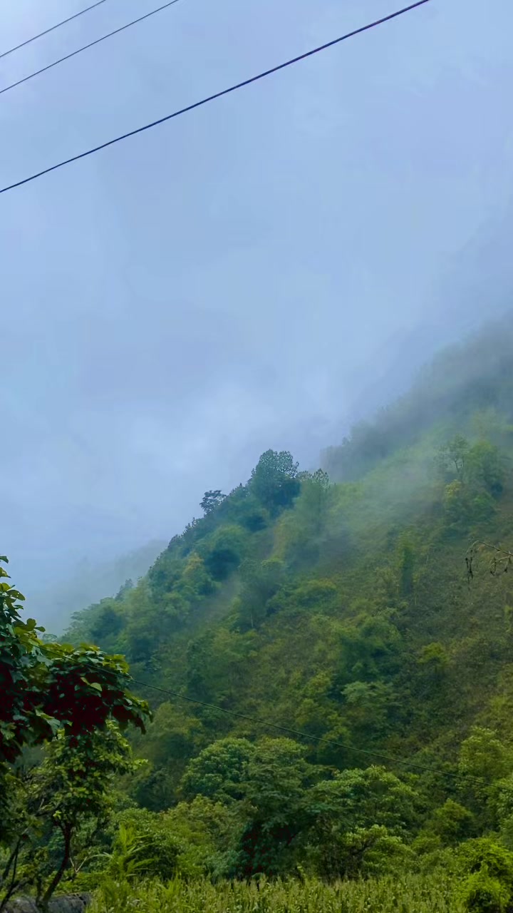 @इन्दिरा भुसाल