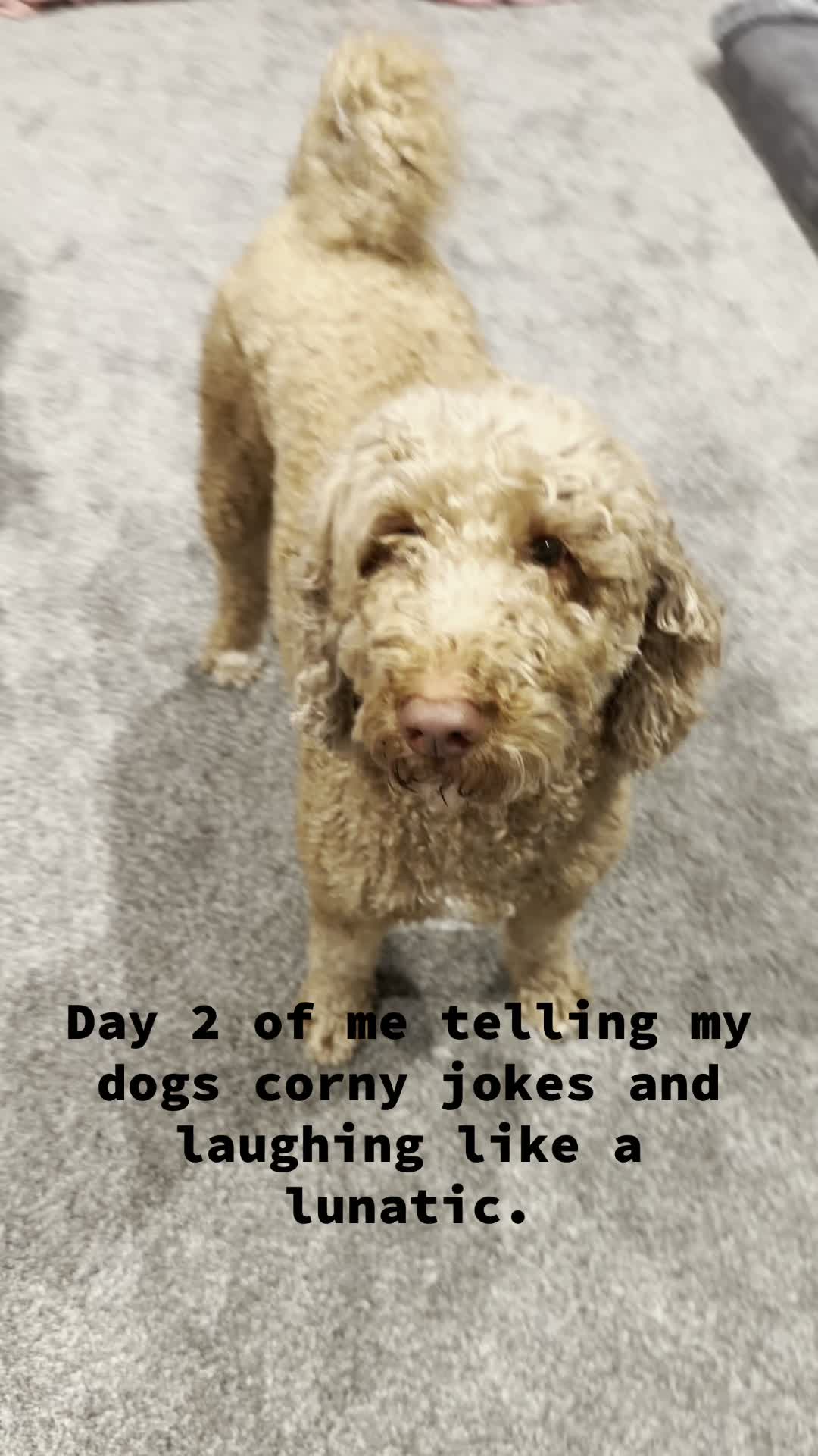 @KindaCoastal-843