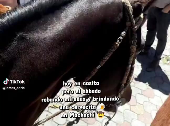 @Te fa