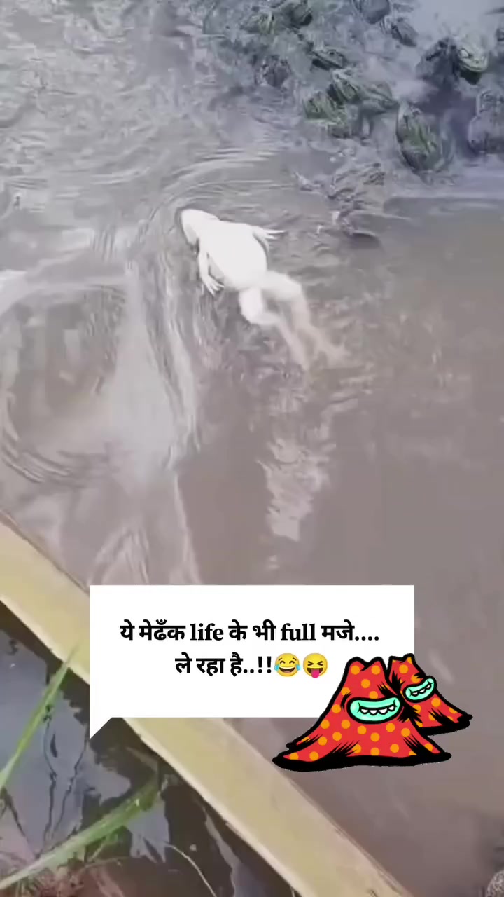 @𝐁𝐈𝐒𝐇𝐍𝐔 𝐃𝐄𝐕