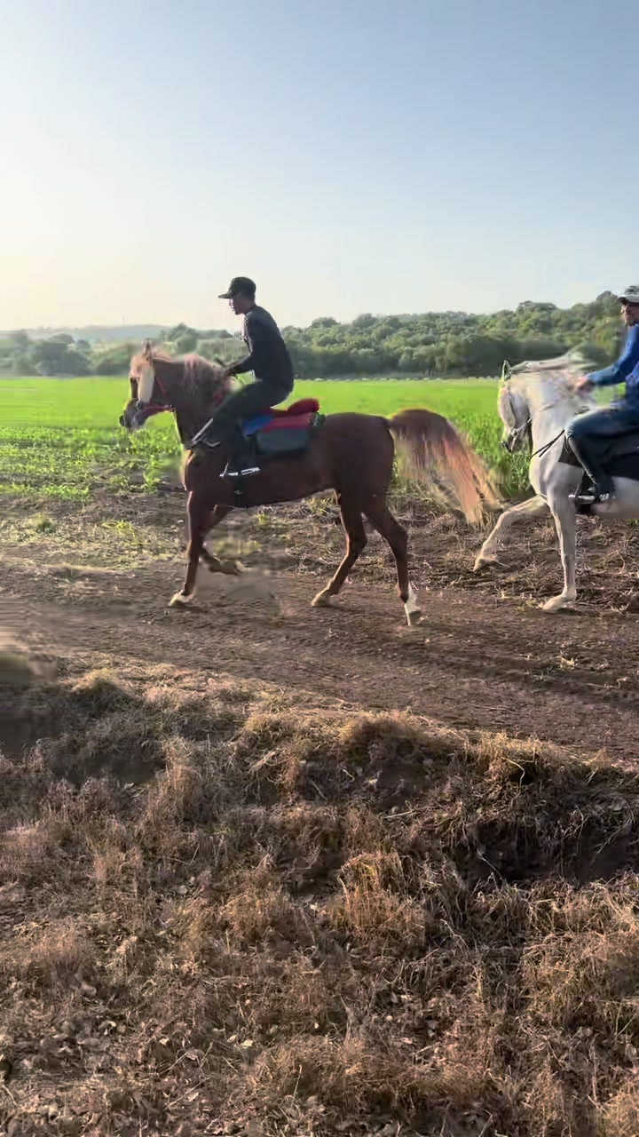 @חוסיין כעביה🐎