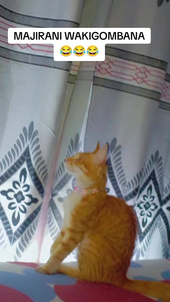 @#MAKAVEL💤