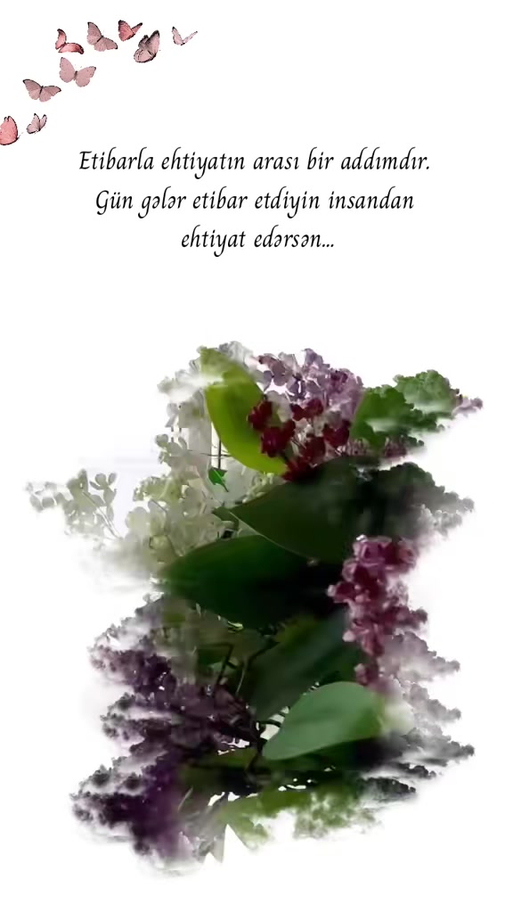 @❦︎𝓴𝓸𝓷𝓾𝓵𝓭𝓾𝓷𝔂𝓪𝓶❦︎