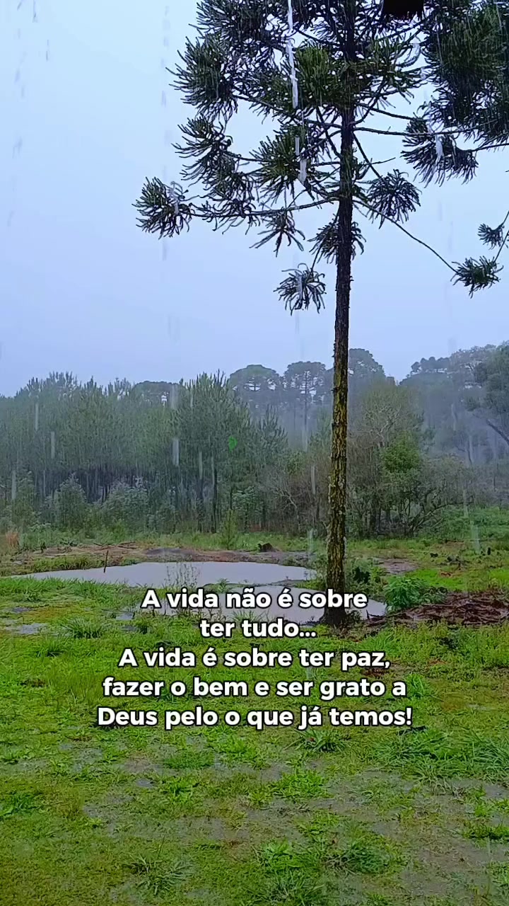 @StatusSertanejo93