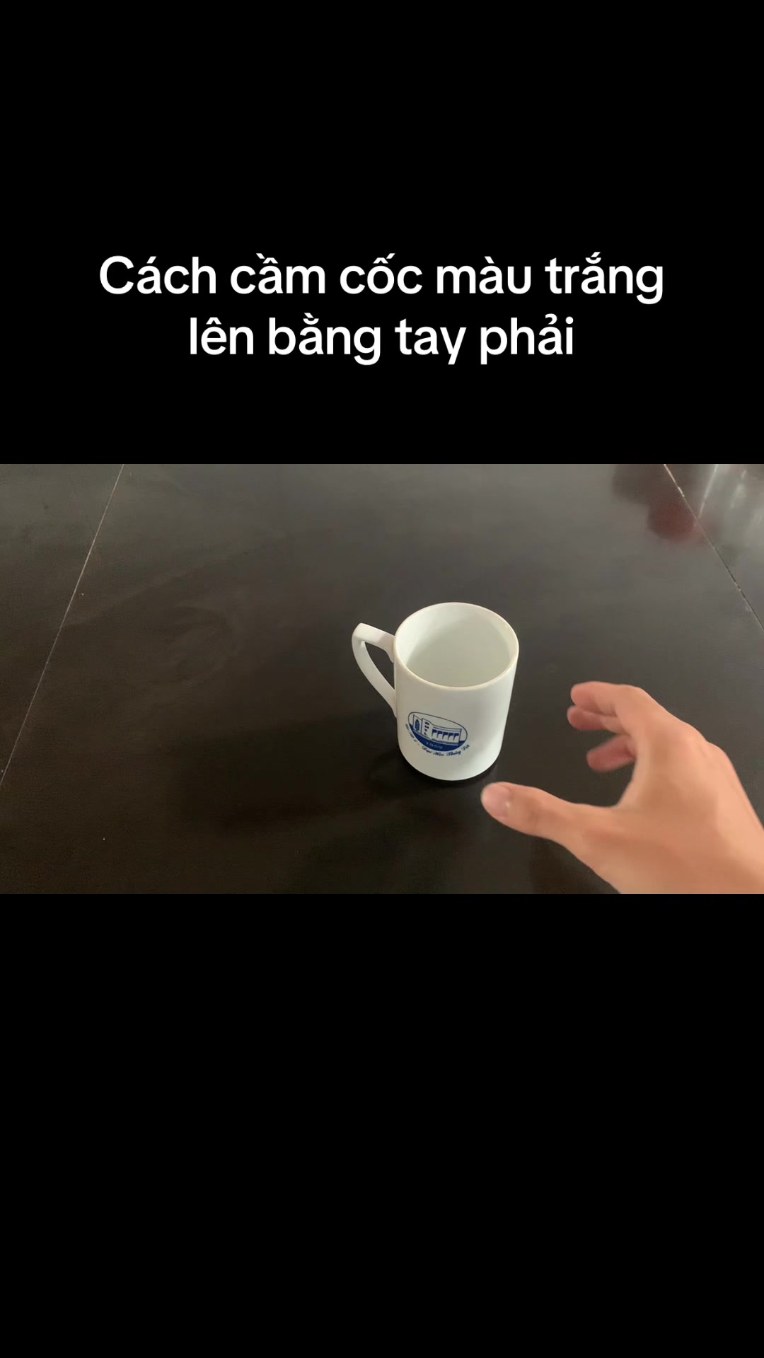 @Mèo thông thái