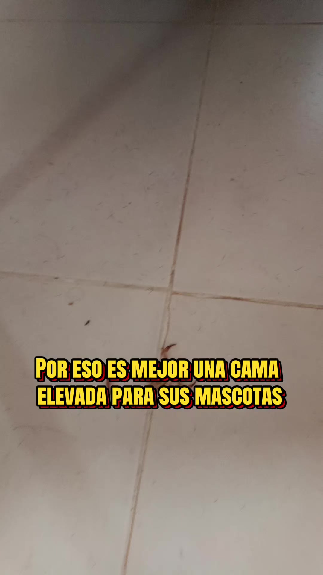 @Mario TBadillo