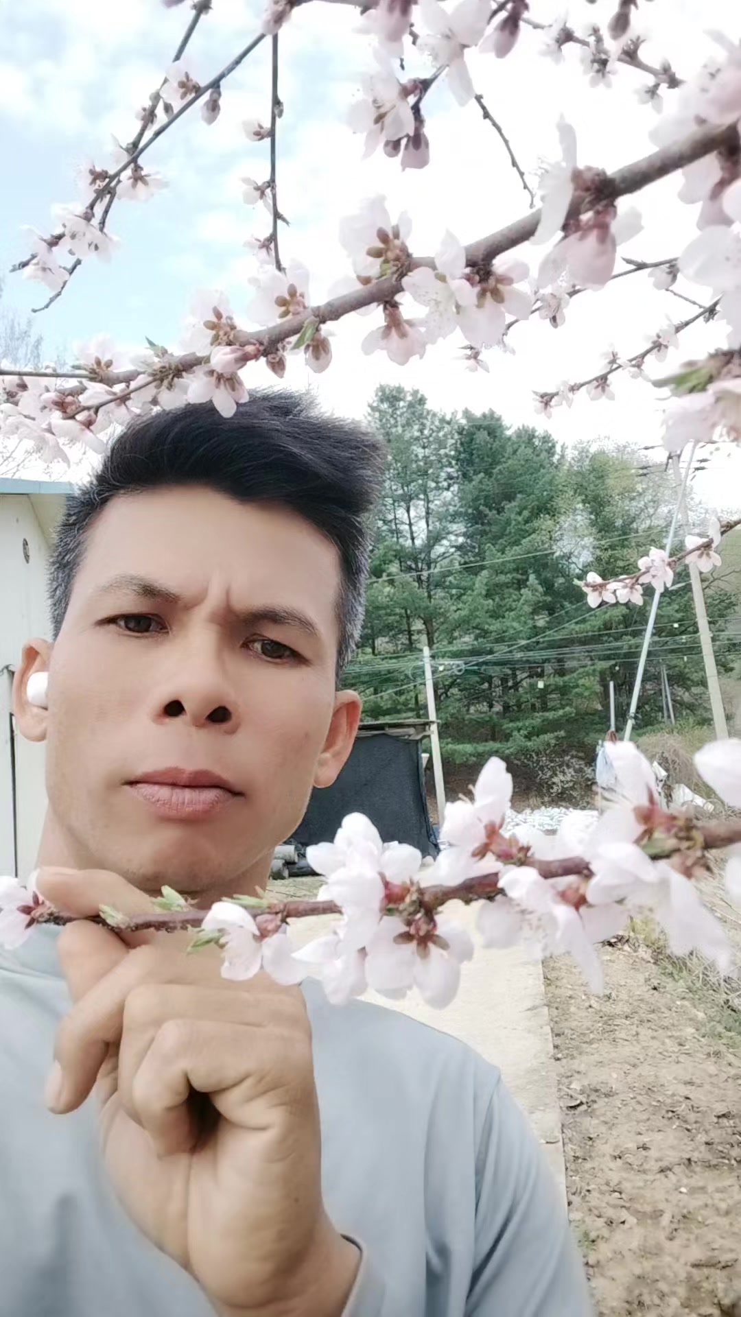 @tr&uacute;c linh1993