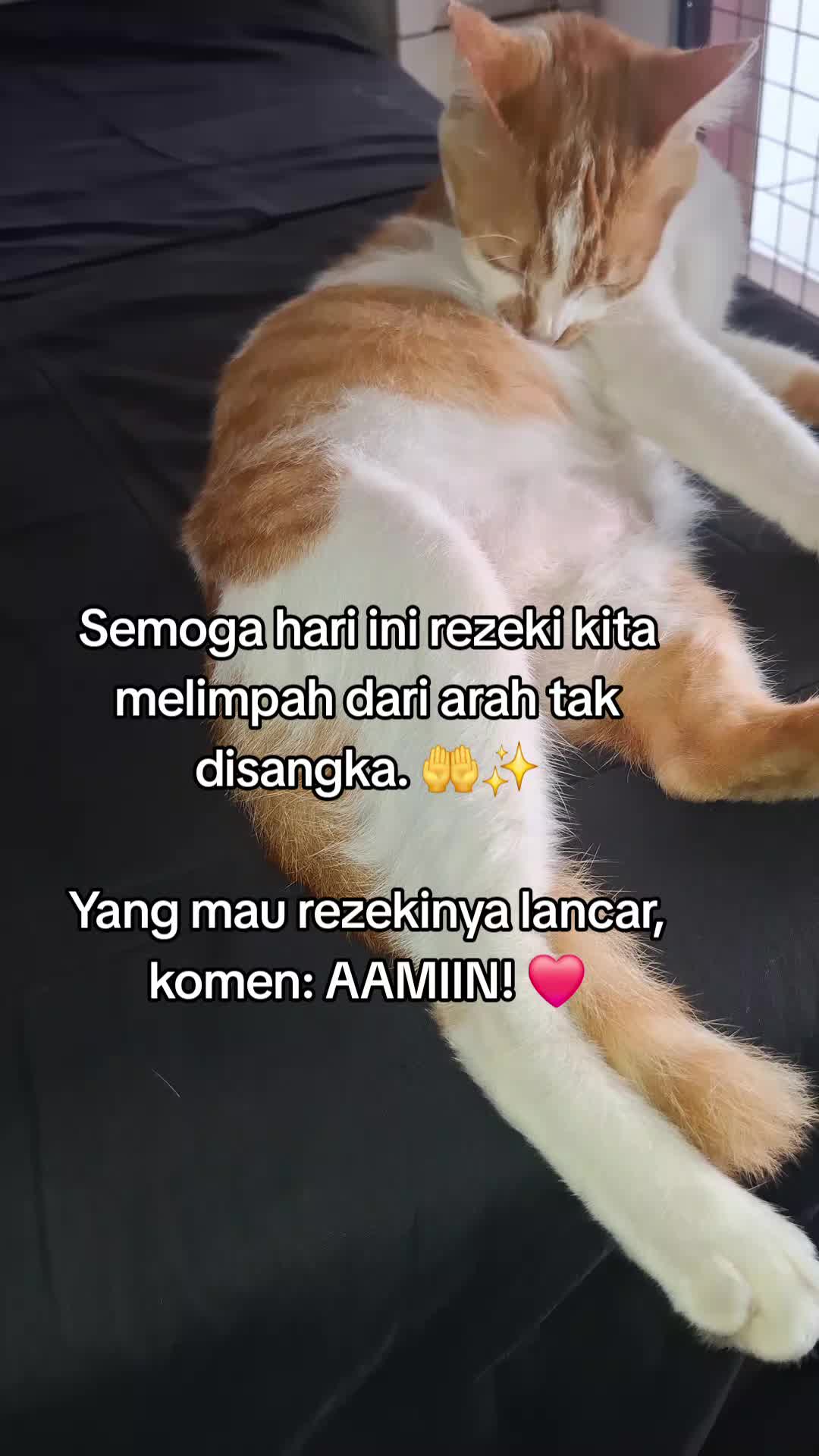@dymakulinerⓂ️