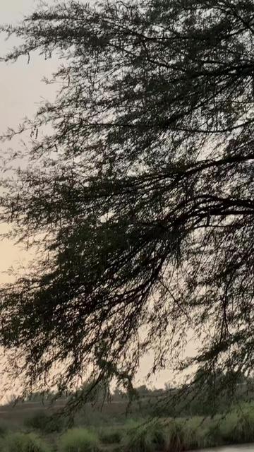 @💫QURBAN MOON💫