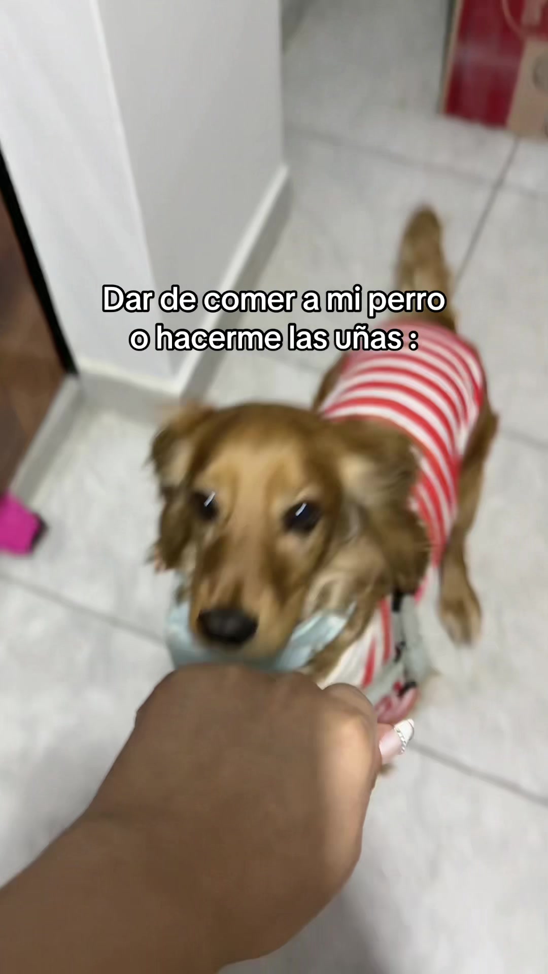 @Tatianna Cueva🩵