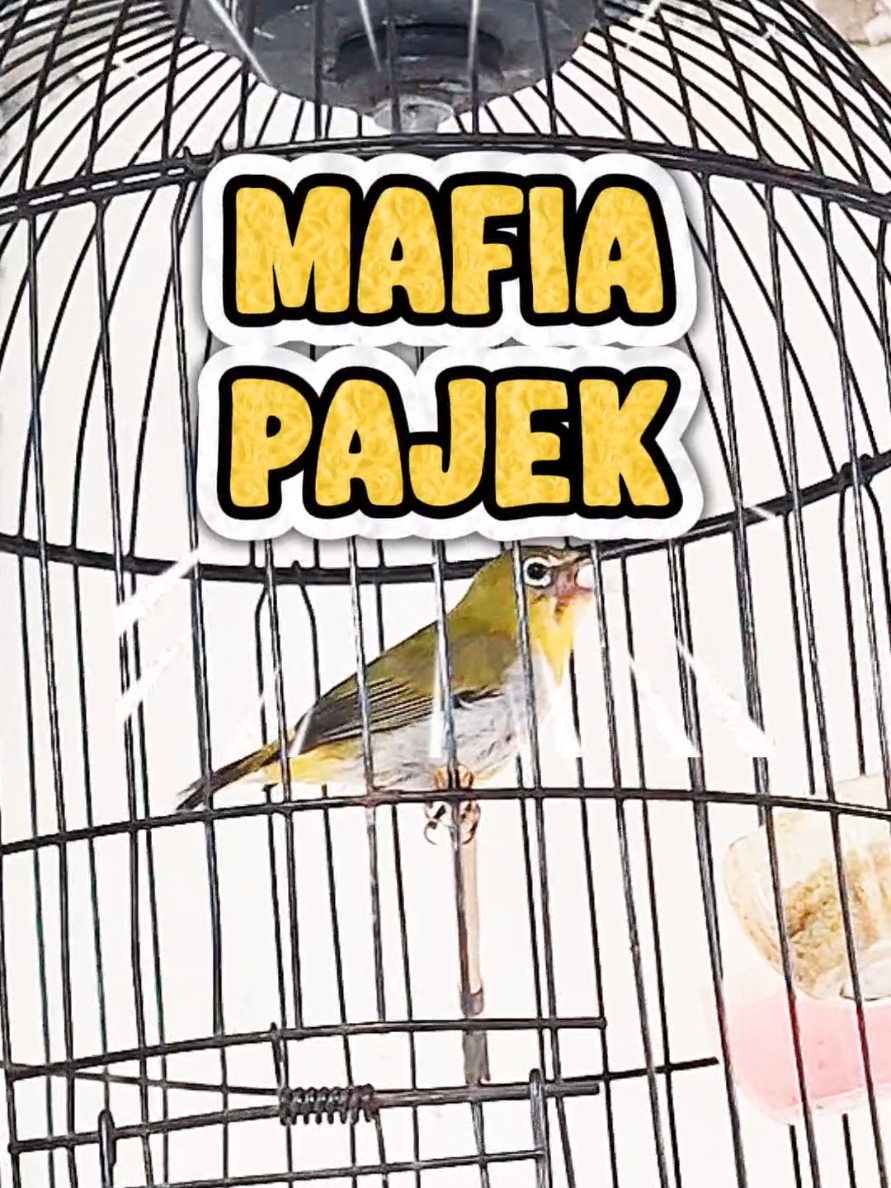 @totalbukpar