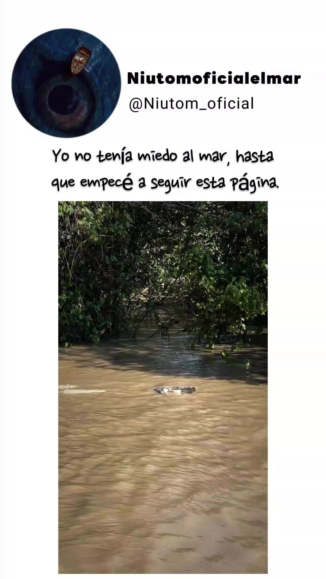 @🌊️niutom oficial el mar 🌊