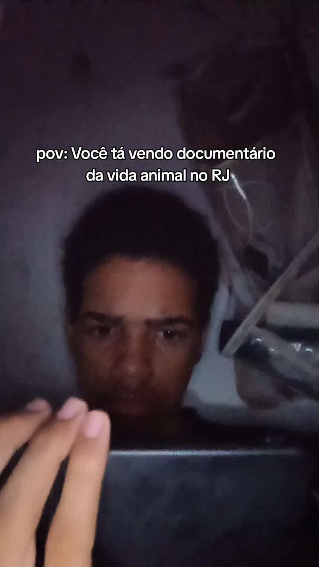 @vhnv1ctor