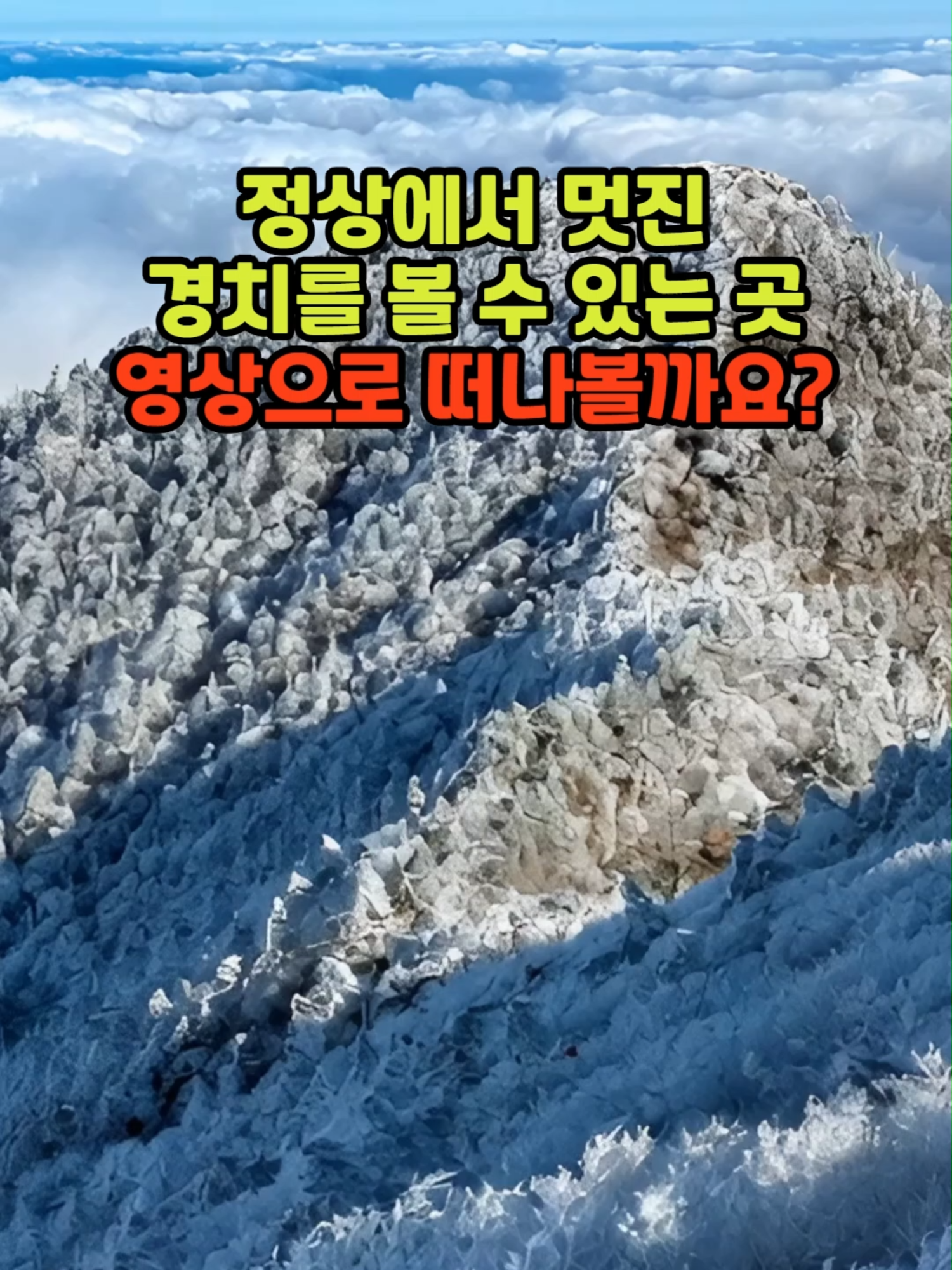 @꽃노리