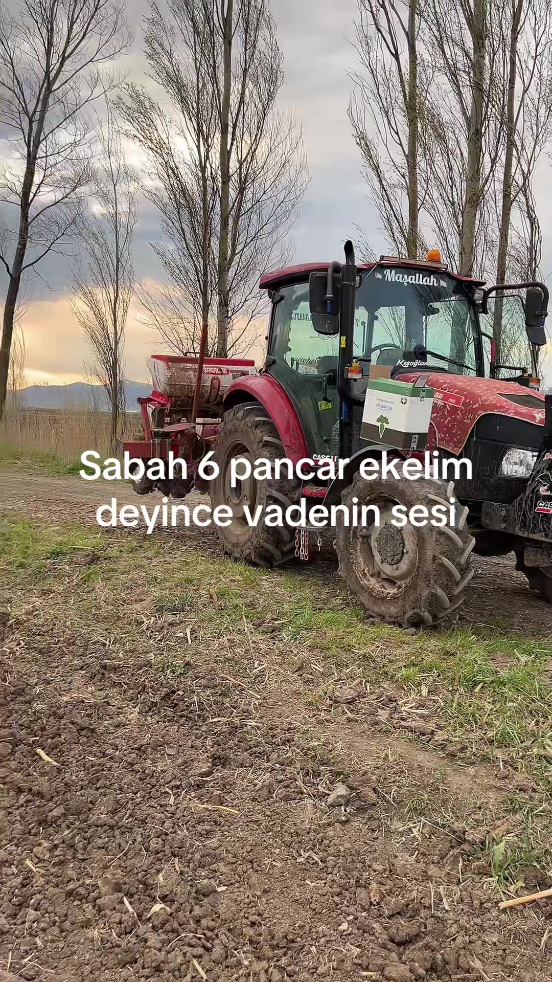 @sabanmenevse
