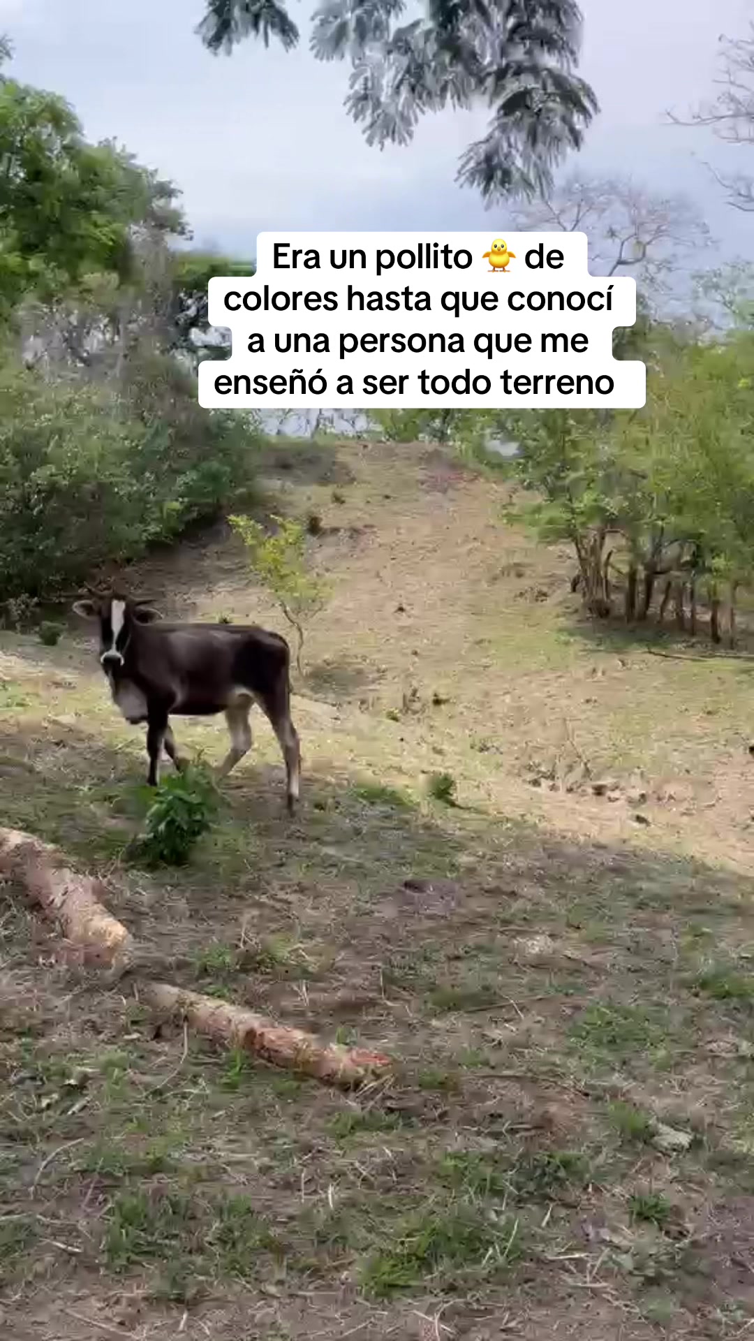 @Diana Díaz