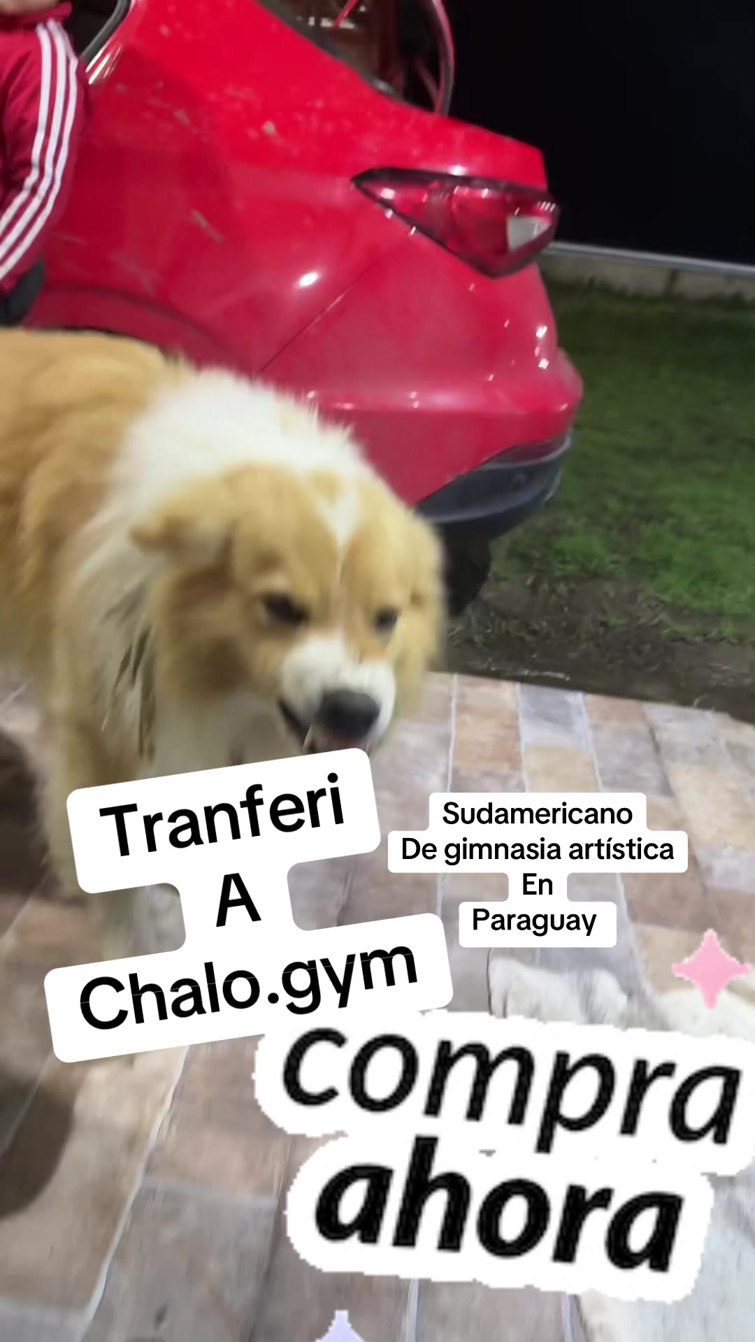 @barbie.motiva