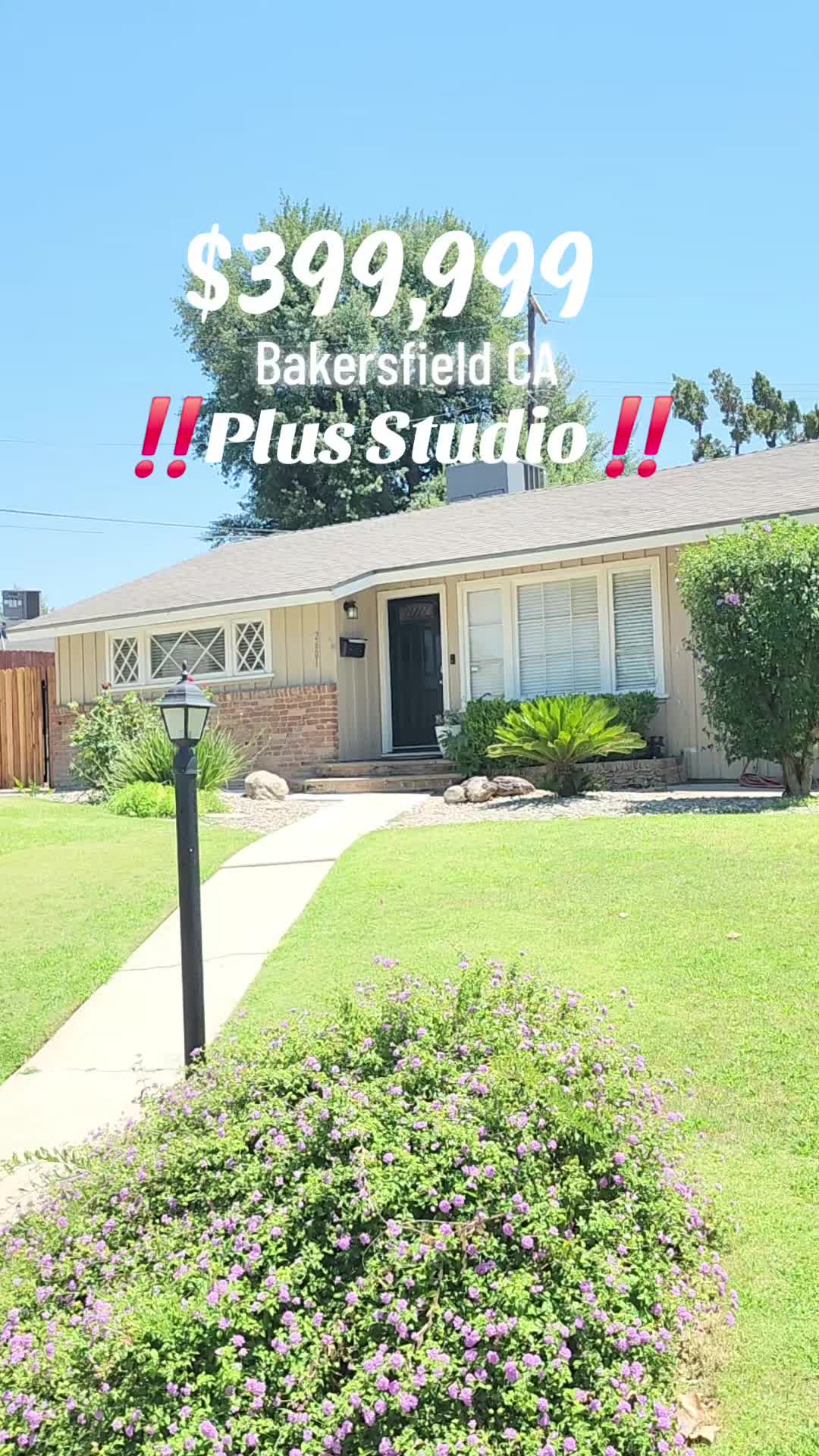 @Mr Real Estate
