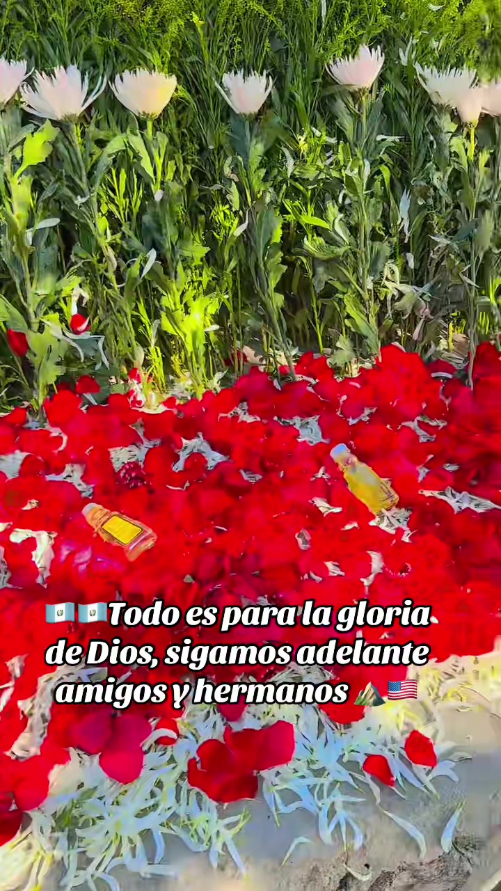 @Evangelista Sergio Gomez