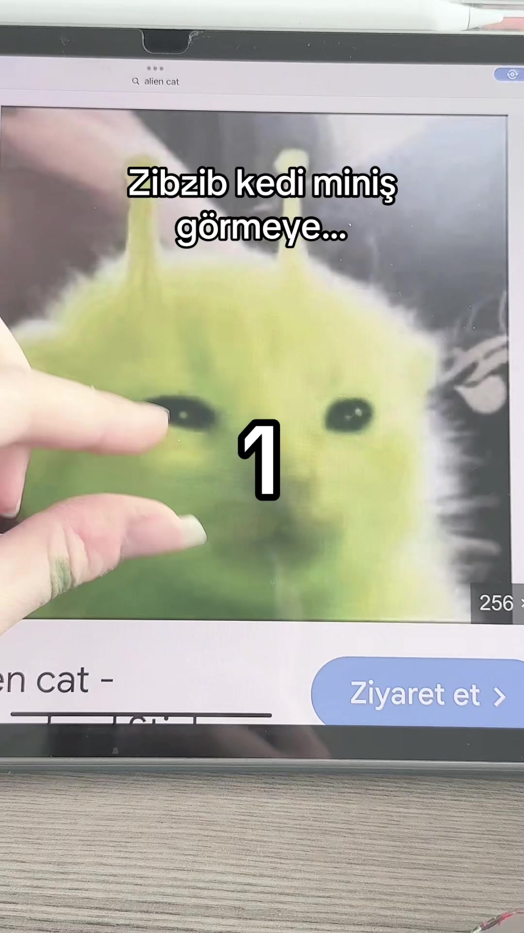 @yuzukurai