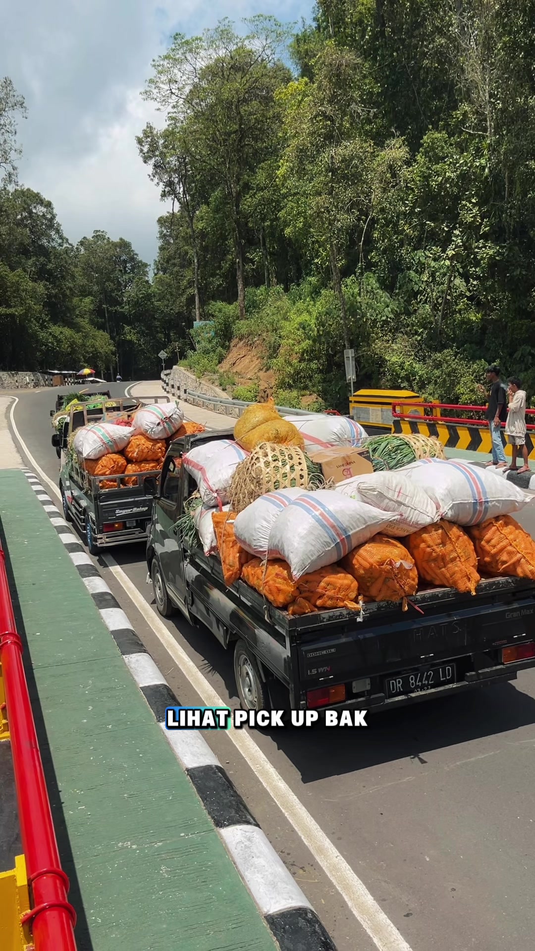 @tukangSAYUR🥕