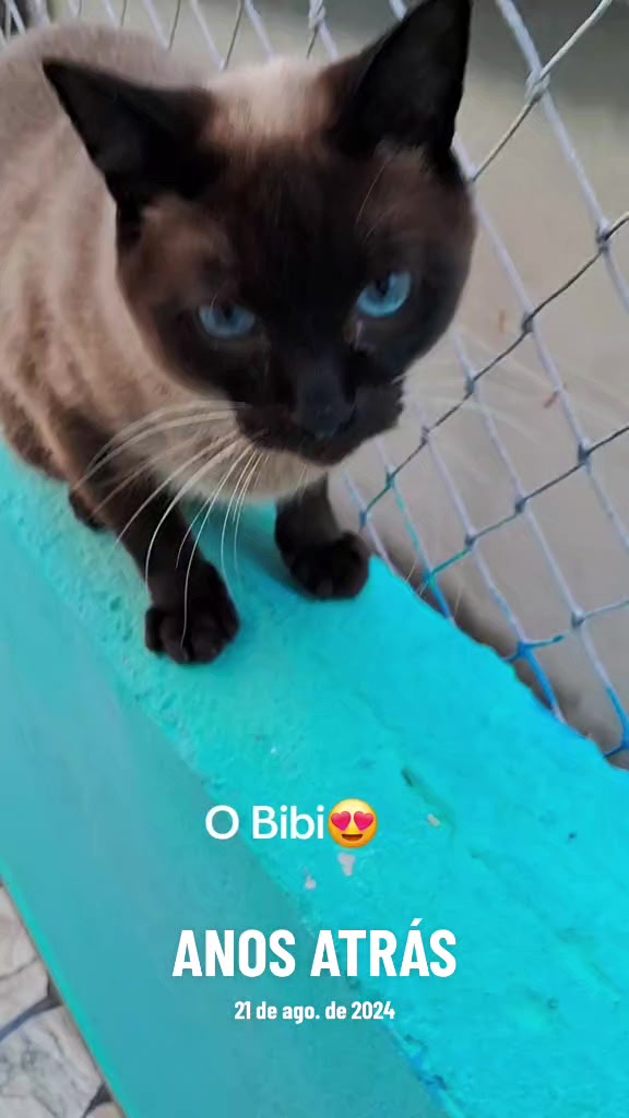 @lua