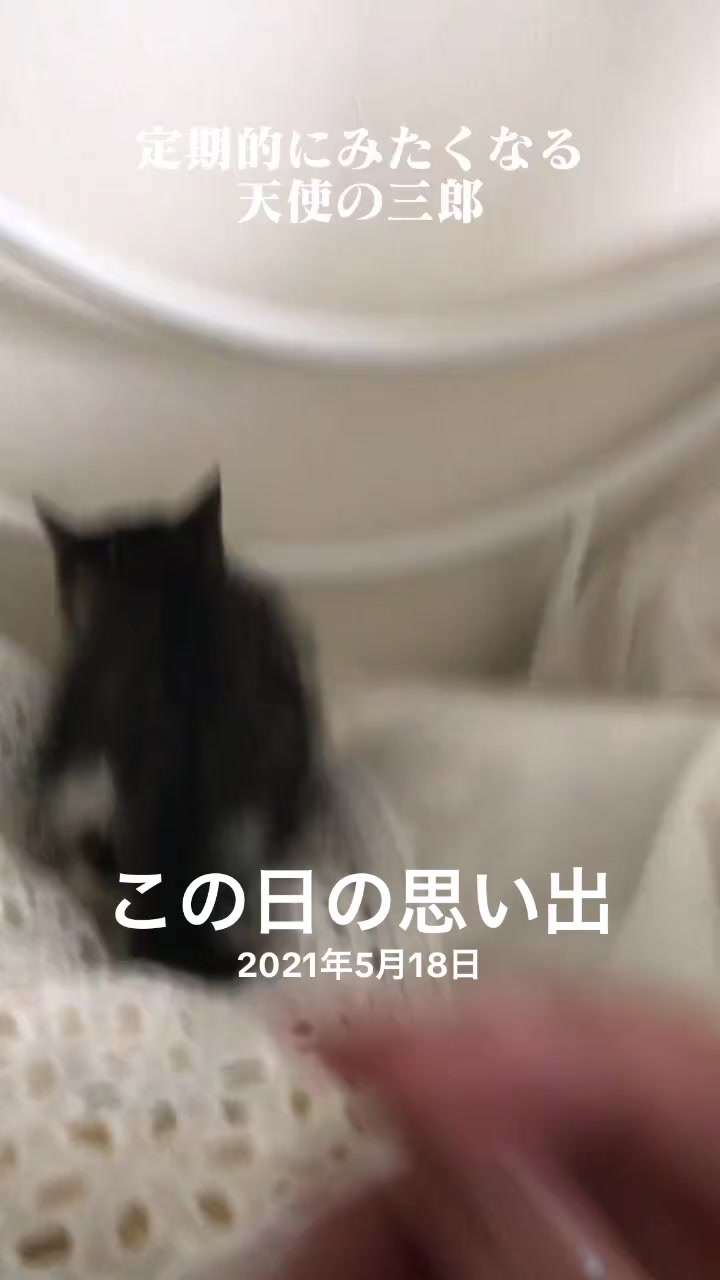 @さまむ〜