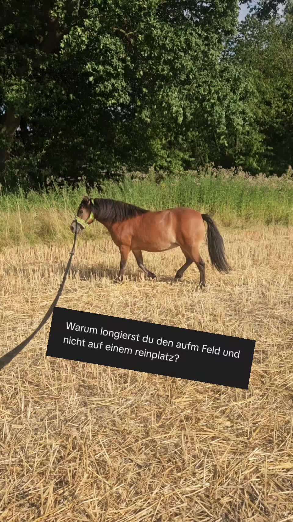 @Another_sunrise_farm
