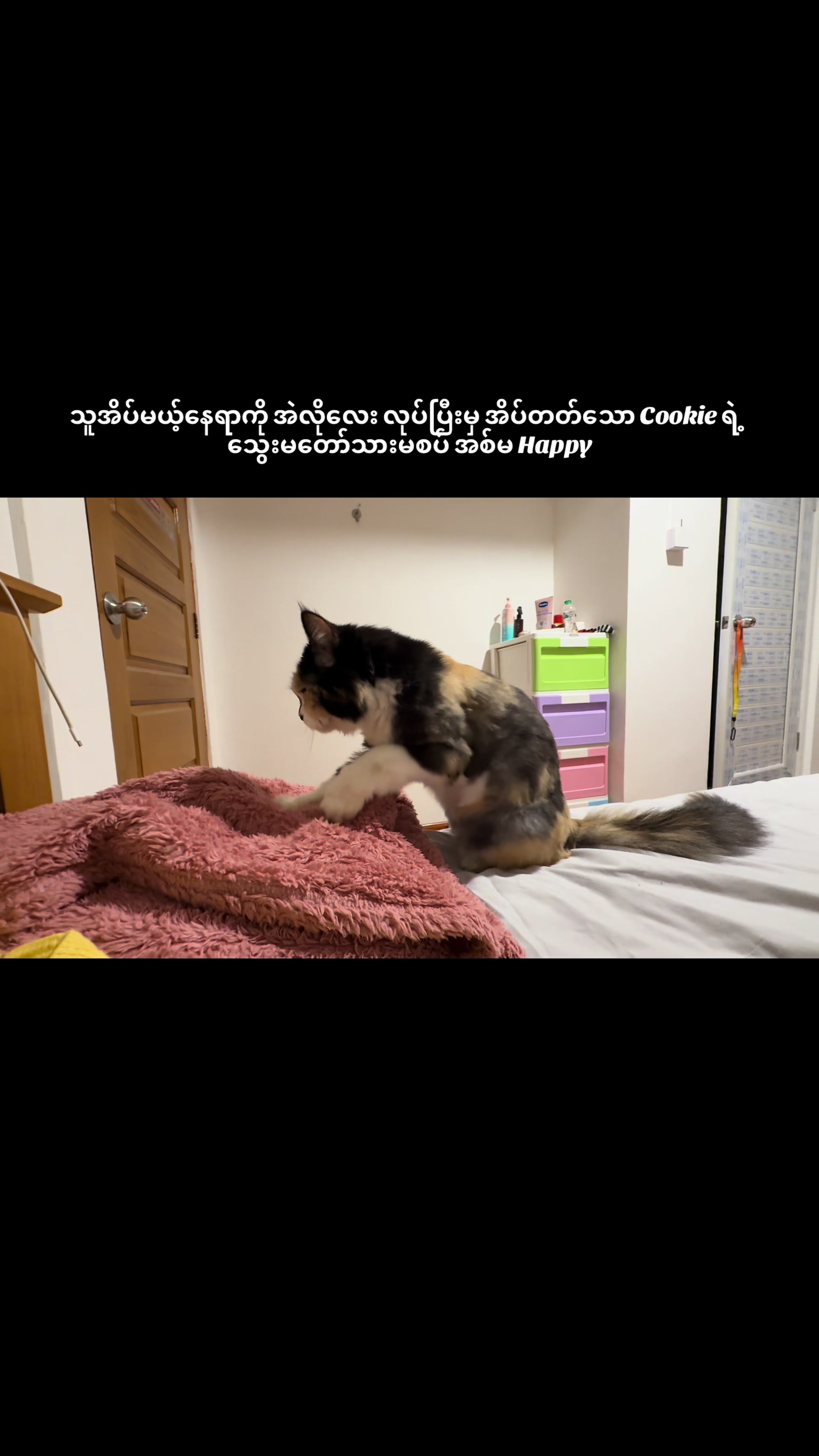 @သားတော်မောင် ကွတ်ကီး (Cookie)