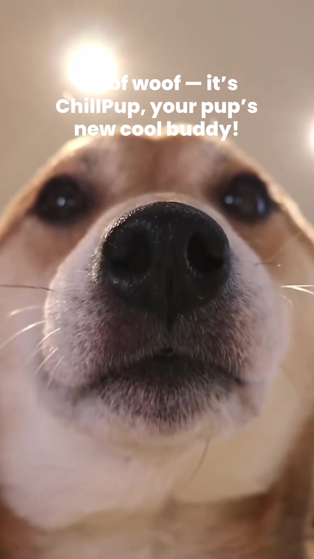 @DAVOLIFTS