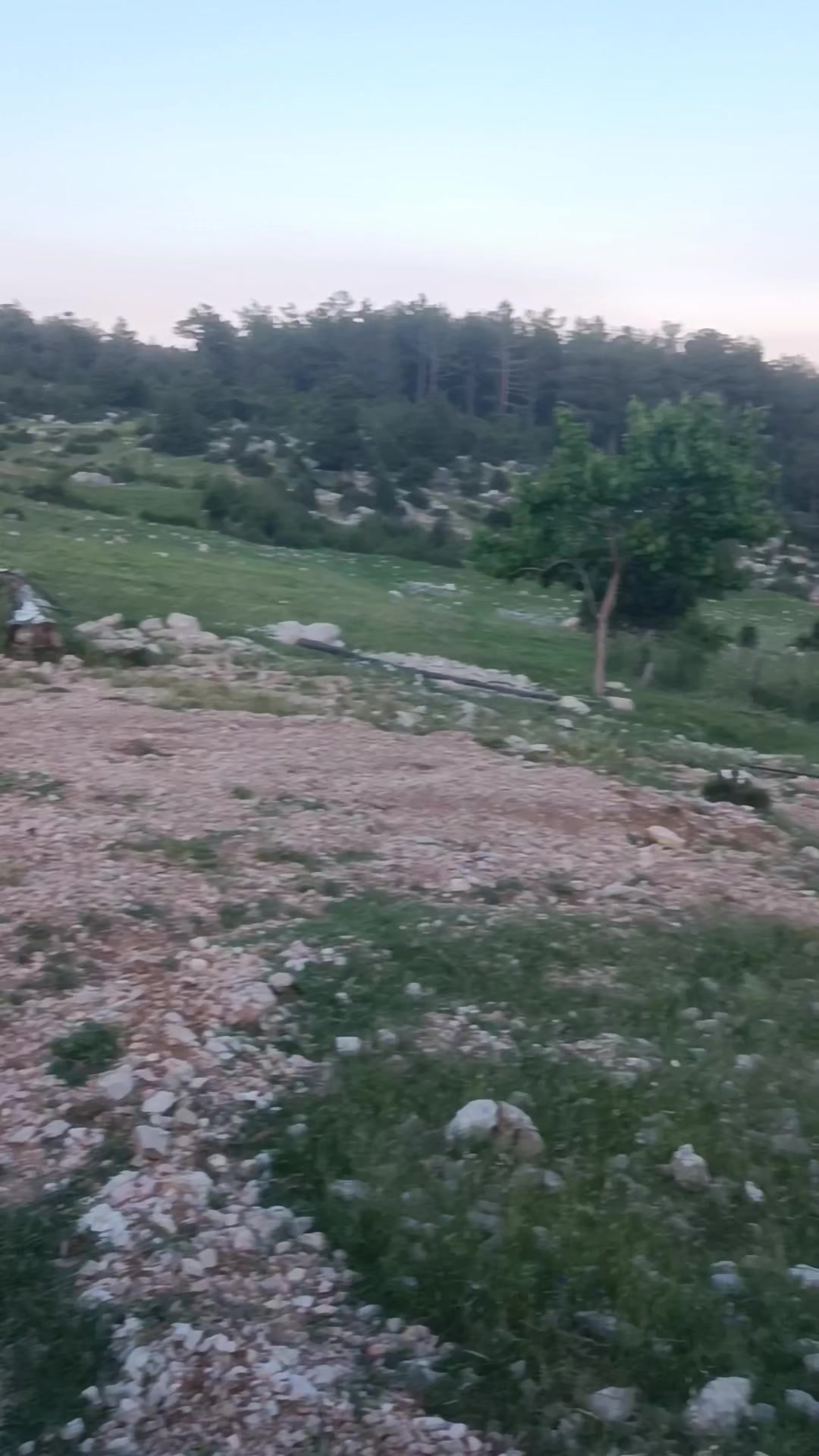 @ibrahim odabaş