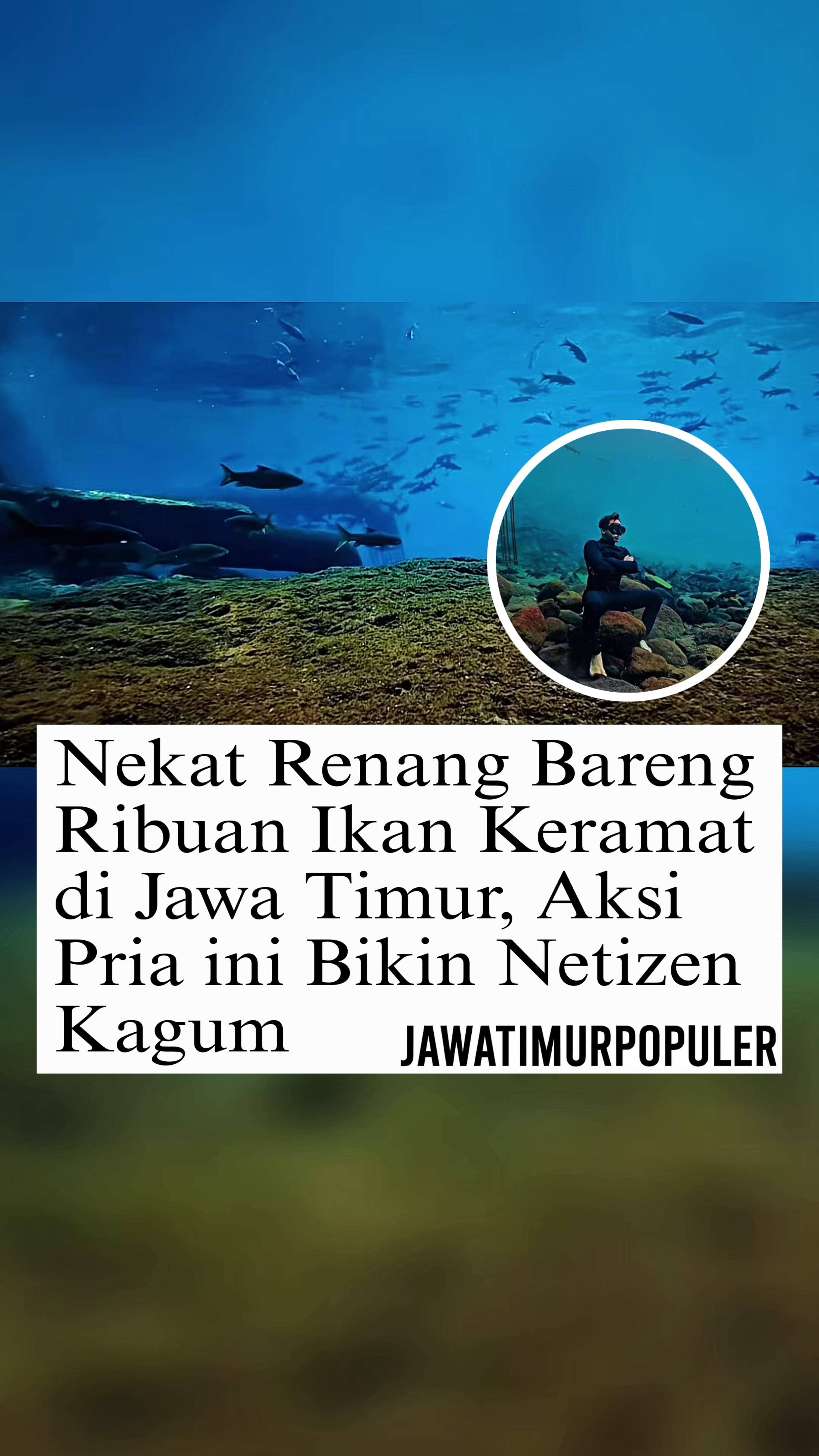 @jawatimurpopuler