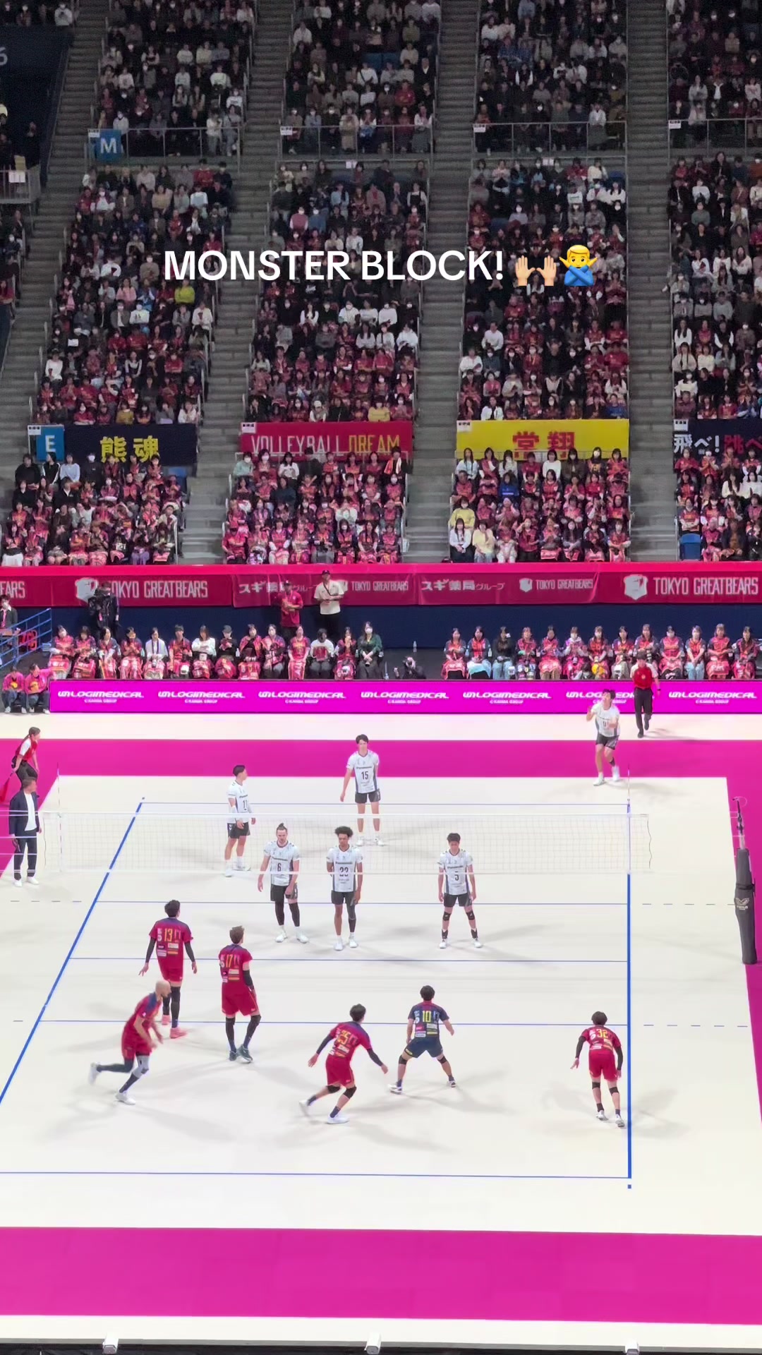 @Voleibol Mixto Tijuana