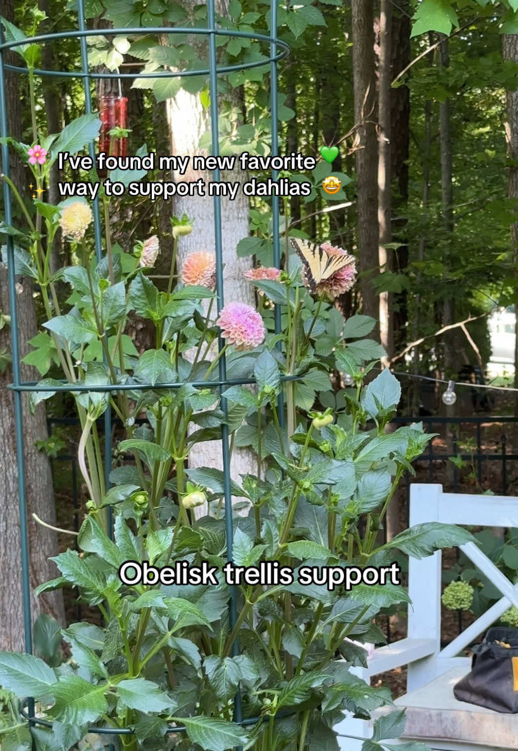 @The Ever Hopeful Gardener