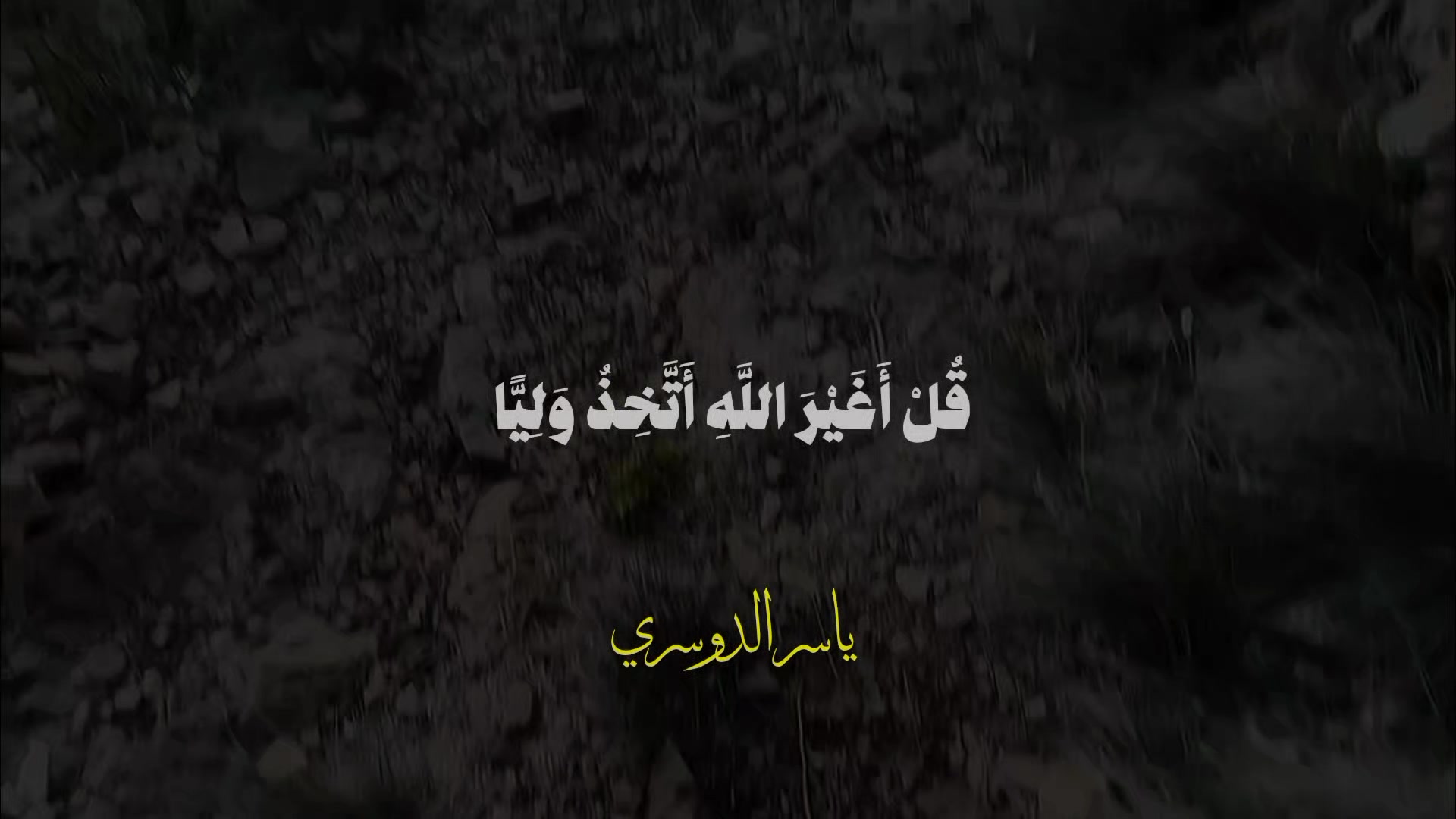 @هيثم محمد