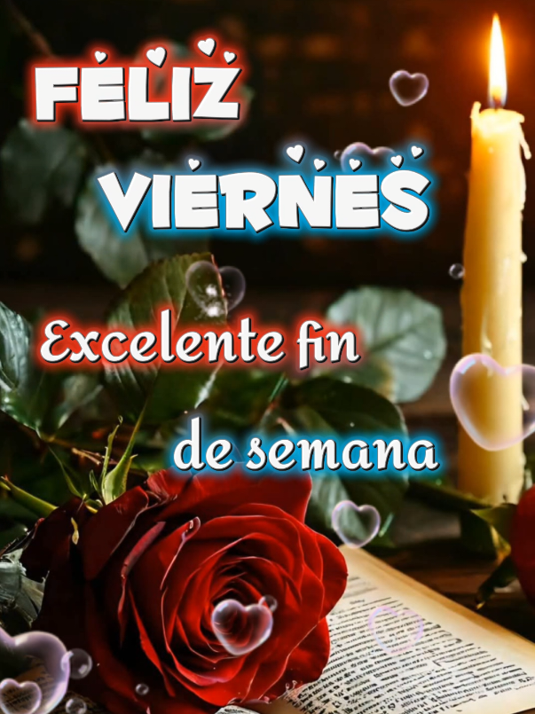 @sol&luna