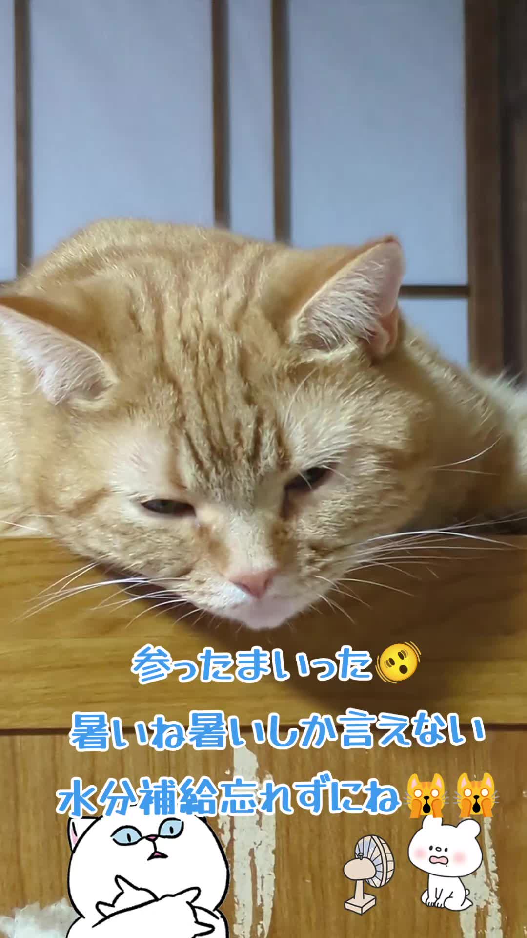 @JUNjun