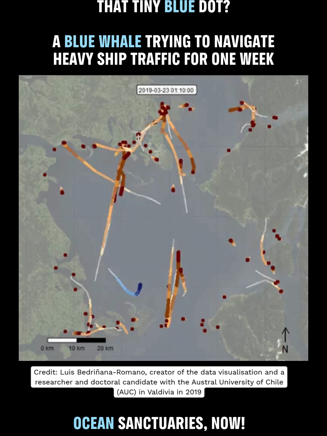 @Greenpeace Australia Pacific