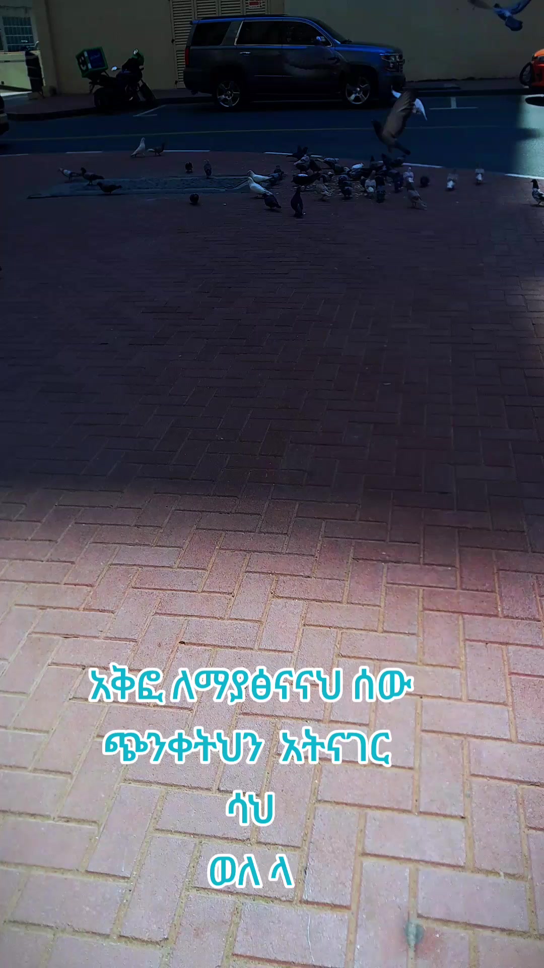 @ሸምስያ