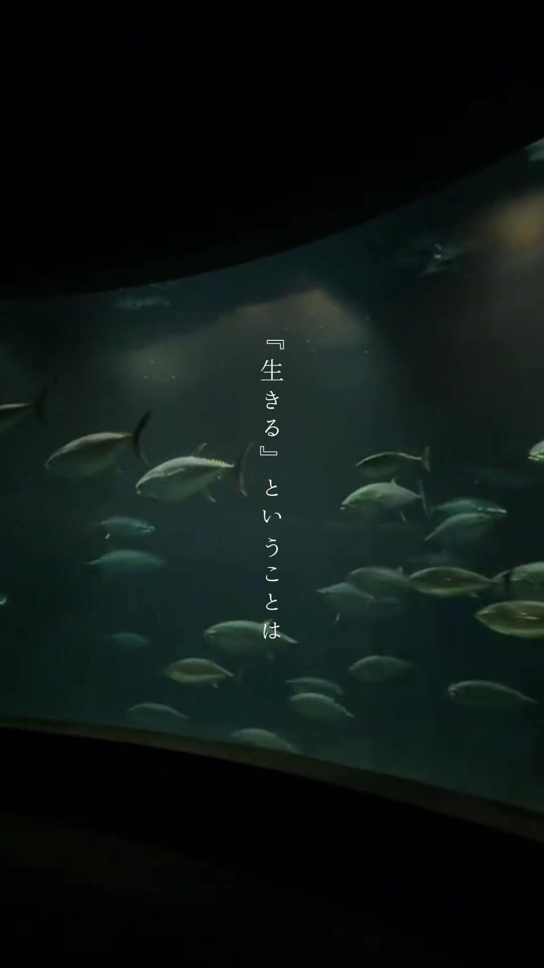 @一ノ瀬 かんな【声優志望】