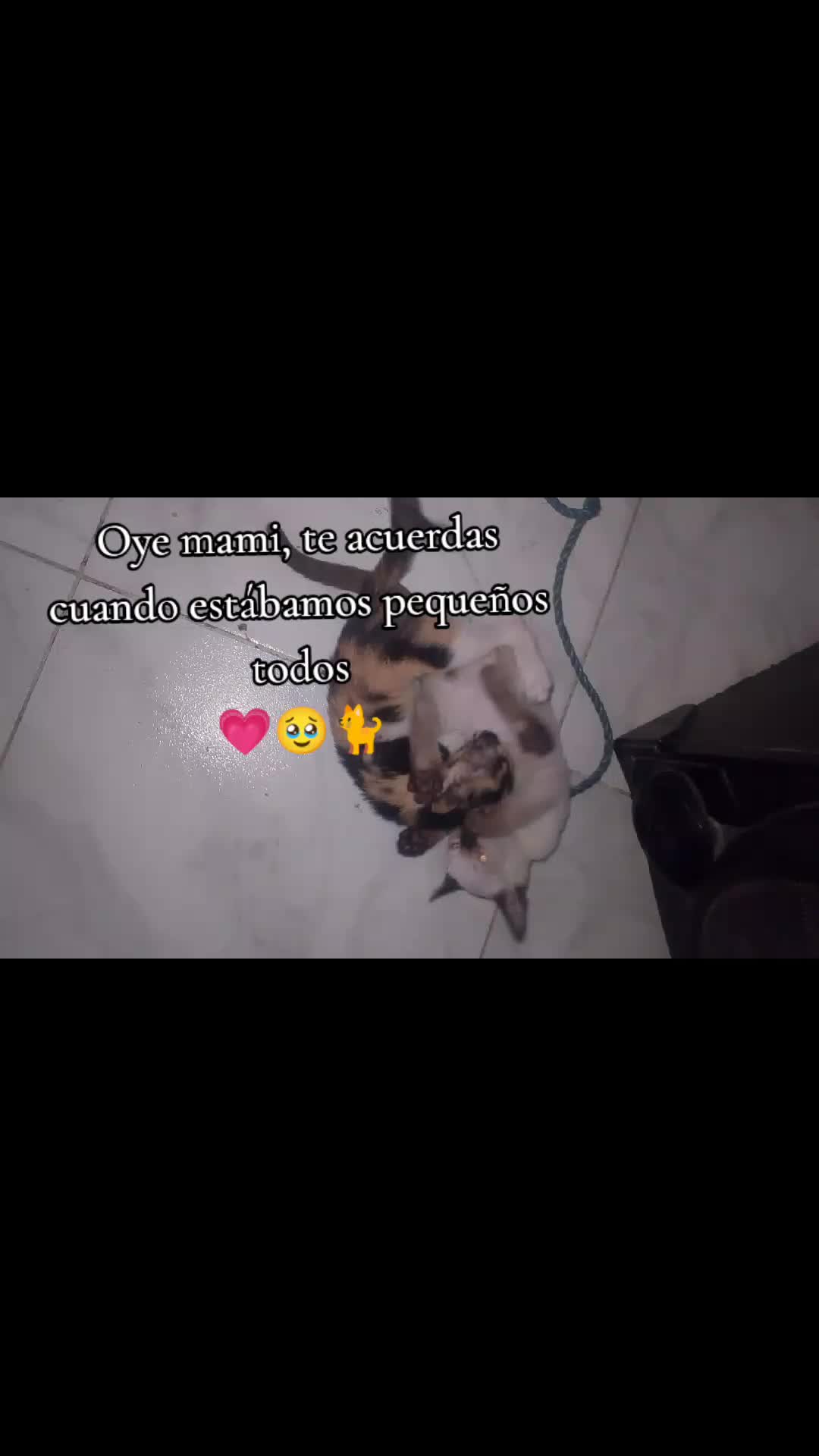 @YA〽️iLETH💘🧜&zwj;♀️